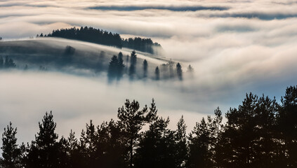 Beautiful landscape, amazing flowing morning fog whit sunbeam on mountain slopes in Transylvania, Romania.