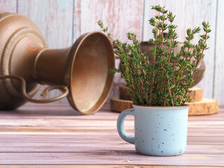 Fresh green thyme bunch in a small ceramic mug.