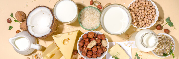 Plant-based alternative non-dairy products