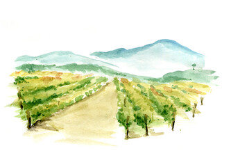 Abstract landscape with vineyard / Watercolor illustration, mountain landscape with fields - obrazy, fototapety, plakaty