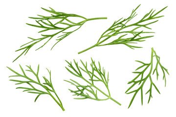 Dill isolated on white background, full depth of field, clipping path