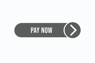 pay now button vectors.sign label speech bubble pay now 

