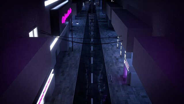 Car animation from top view on neon city and wet asphalt 3D rendering