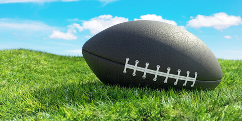 American football on a lush green grassy field