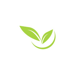 Green leaf logo design on white background Free Vector