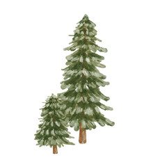 Christmas Pine Tree Watercolor illustration