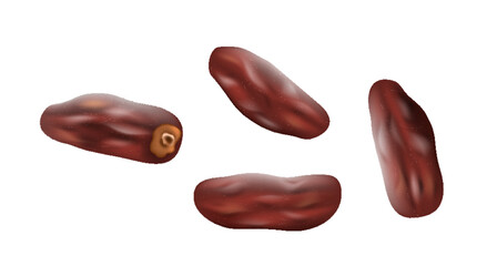 Sweet date fruits realistic isolated. Healthy dried dessert for vegan and vegetarian nutrition