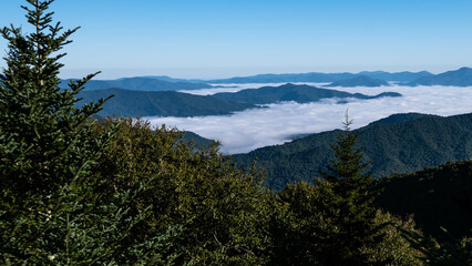 Fototapeta na wymiar Foggy Morning in the Valleys of the Appalachian Mountains View from The Blue Ridge Parkway