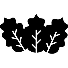 Cabbage Icon