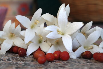 Naklejka na ściany i meble Indian cork tree (Millingtonia hortensis Linn flowers)