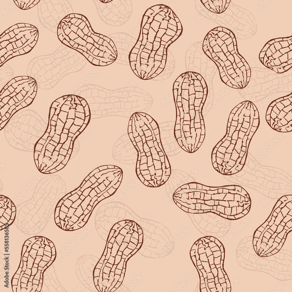 Wall mural seamless pattern peanuts drawn by hand. vector illustration of peanut in nutshell and without it. pe