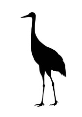Silhouette of crane isolated on white background 