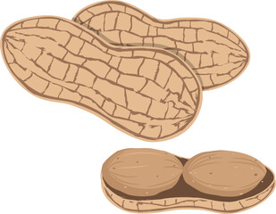 Vector peanuts in cartoon style for template label, packaging snackand emblem farmer market design.