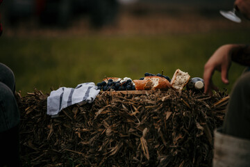 Top view of food is isolated on a picnic wooden board. Grapes, cheese, and bread outdoors.