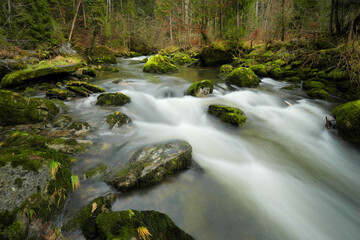 Wildbach im Allgäu.
