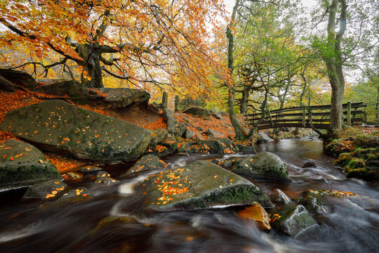 Autumn in Padley Gorge