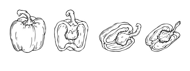 Set of linear sketches of sweet bell pepper and vegetable pieces.Vector graphics.