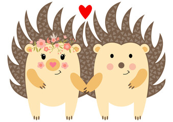 Cute couple of hedgehogs in love