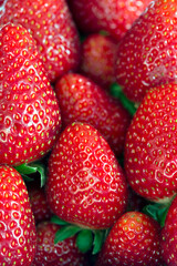Closeup of pile of ripe strawberries on market. Brazil