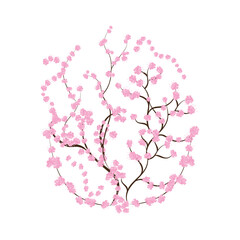 vector cherry blossom, sakura branch with pink flowers