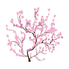 vector cherry blossom, sakura branch with pink flowers