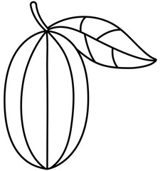 Cacao beans line art outline 