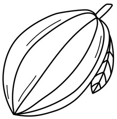 Cacao beans line art outline 