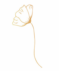 A flower, a branch of gold leaf