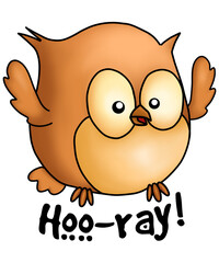 Hoo-ray Funny Cute Owl