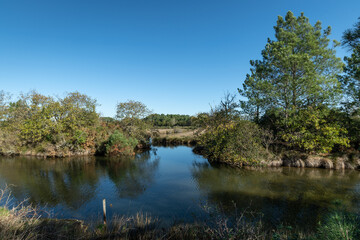 Bassin d’Arcachon (Gironde, France). Réservoir à poissons dans la réserve des prés salés de Lège-Arès