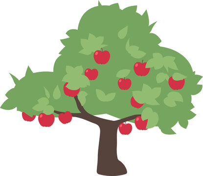 Fruit tree flat icon Organic apple cultivation
