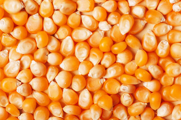 Raw corn kernels texture, background. Healthy vegan food