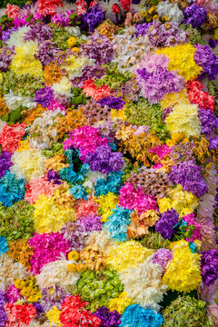 Commercial Silleta, flower fair in the city of Medellin - Colombia © alexander