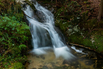 Obraz premium waterfall in mata da albergaria