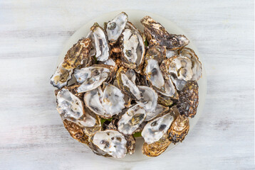 Empty oyster shell to be recycled for health, care, gardening, agriculture, cosmetics, pharmaceuticals