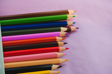 colorful pencils in a row on light background, school and art concept