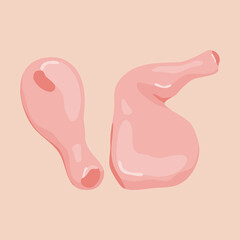 illustration of fresh-cut chicken meat