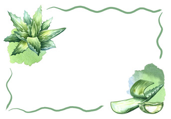 Aloe vera frame. Watercolor illustration. For labels and packaging of cosmetology, perfumery and medicine.