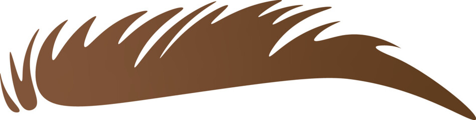 Brown curved shape of eyebrow flat icon