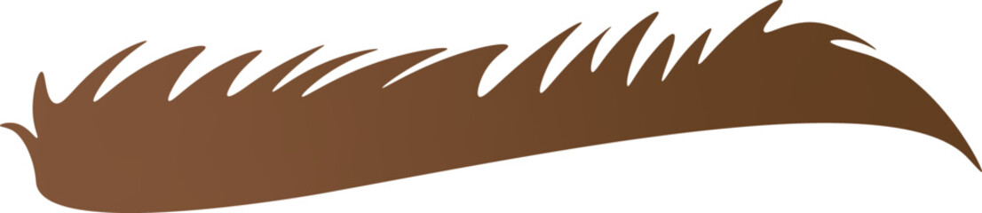 Brown thin shaggy and bushy eyebrow flat icon