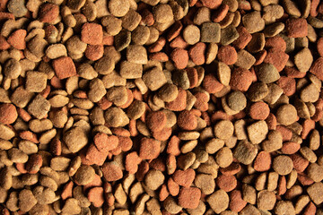 Dry colorful cat and dog food background, top view.