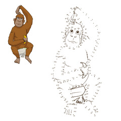 Draw the animal orangutan educational game PNG illustration with transparent background