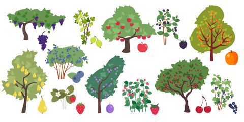 Fruit trees and berry bushes flat icons set. Fresh organic tasty cherry, strawberry, apricot, blackberry and blueberry © Mykola Syvak