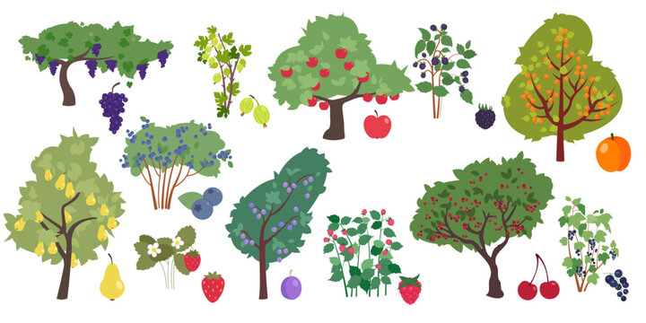 Fruit trees and berry bushes flat icons set. Fresh organic tasty cherry, strawberry, apricot, blackberry and blueberry