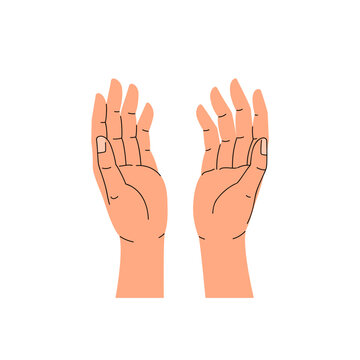 Two open hands with palms up. Top view, trendy flat vector illustration isolated on white background.