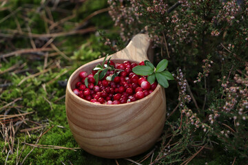 Many ripe lingonberries in wooden cup outdoors