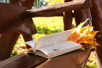 Wooden swing with book and yellow dry leaves outdoors. Autumn atmosphere
