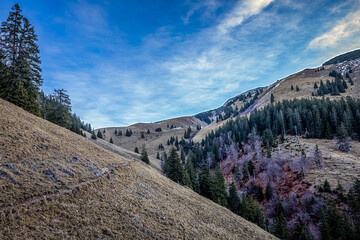 In den Allgäuer Alpen