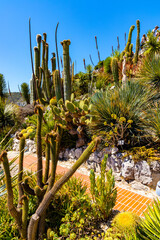 Fototapeta premium Exotic Botanic Garden Le Jardin de Exotique on top of medieval fortress castle hill in historic town of Eze at Azure Cost of Mediterranean Sea in France