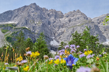 Kleiner Ahornboden in the Karwendel mountains (Alps) with the Laliderer Wände in spring, Hinterriß, Tirol, Austria, Europe